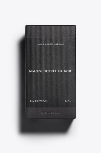 Magnificent Black Zara for men